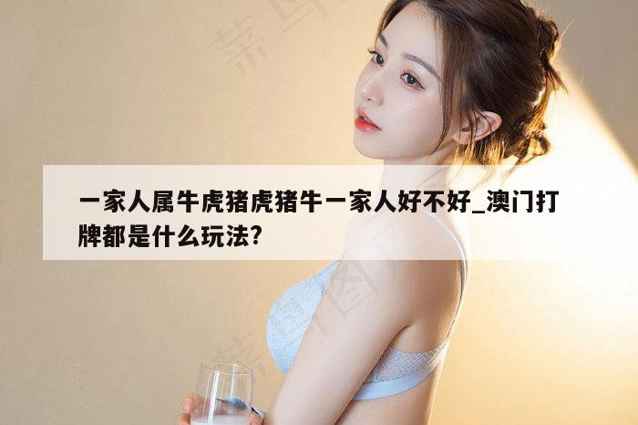 一家人属牛虎猪虎猪牛一家人好不好_澳门打牌都是什么玩法?